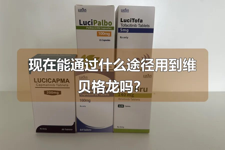 现在能通过什么途径用到维贝格龙吗?
