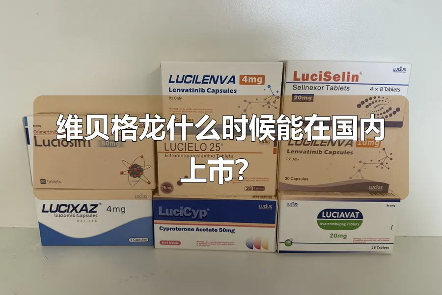 维贝格龙什么时候能在国内上市?